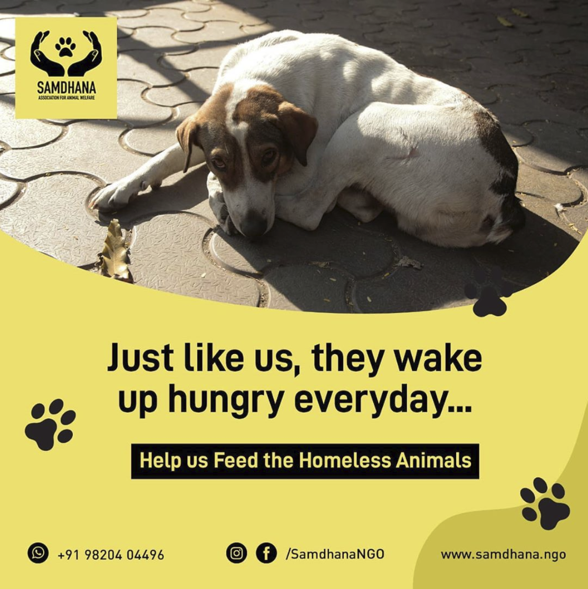 Samdhana Association For Animal Welfare – See Your Donations Working
